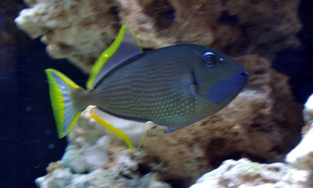DSC_0128.jpg