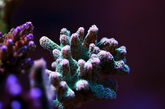 DSC_0630_edited.jpg
