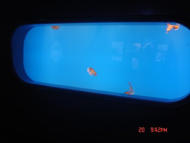 DSC01479.jpg