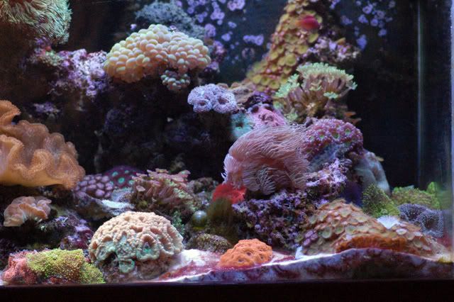 DSC_7379.jpg
