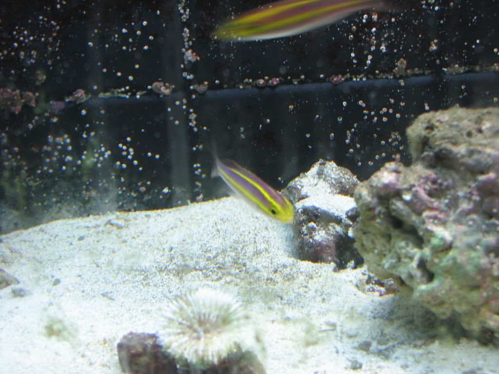 IMG_1464.jpg