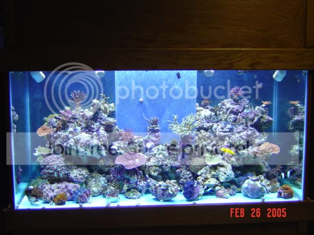 DSC00804.jpg