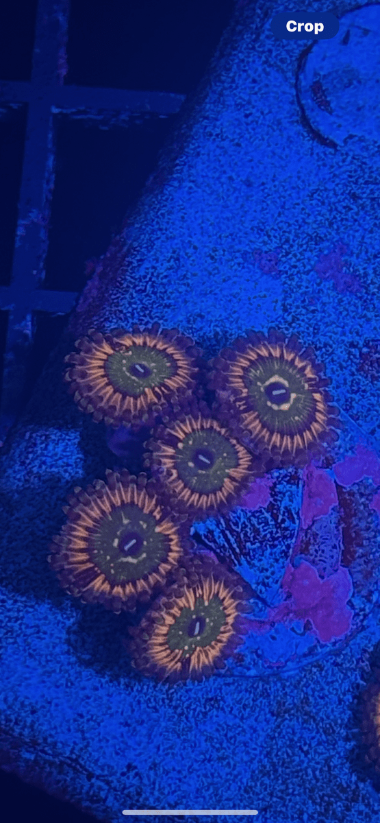 IMG_3511.png