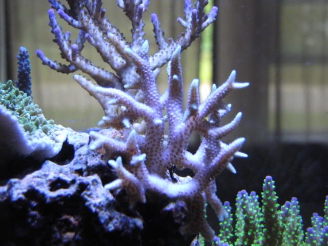 IMG_2386.jpg
