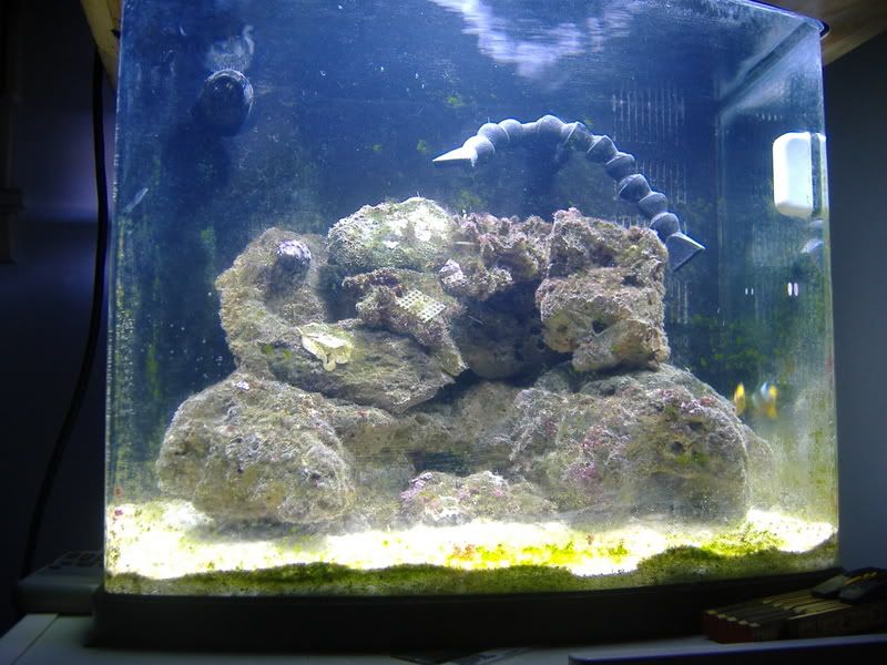 2005_0802swtankupdate0001.jpg