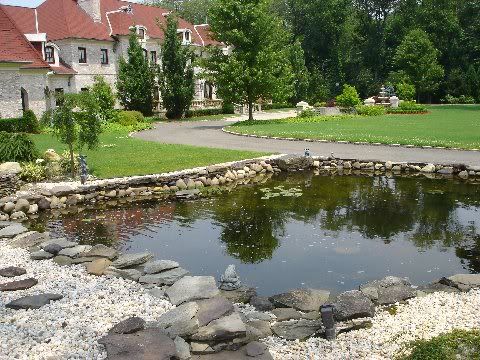 POND2.jpg