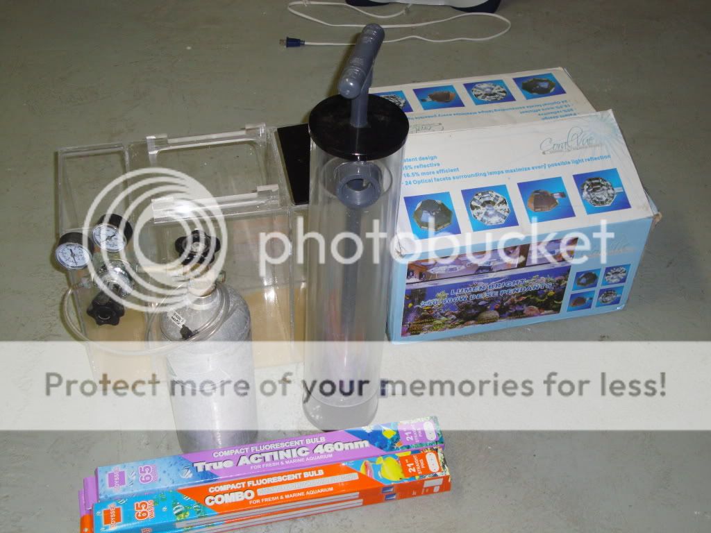 DSC00316.jpg