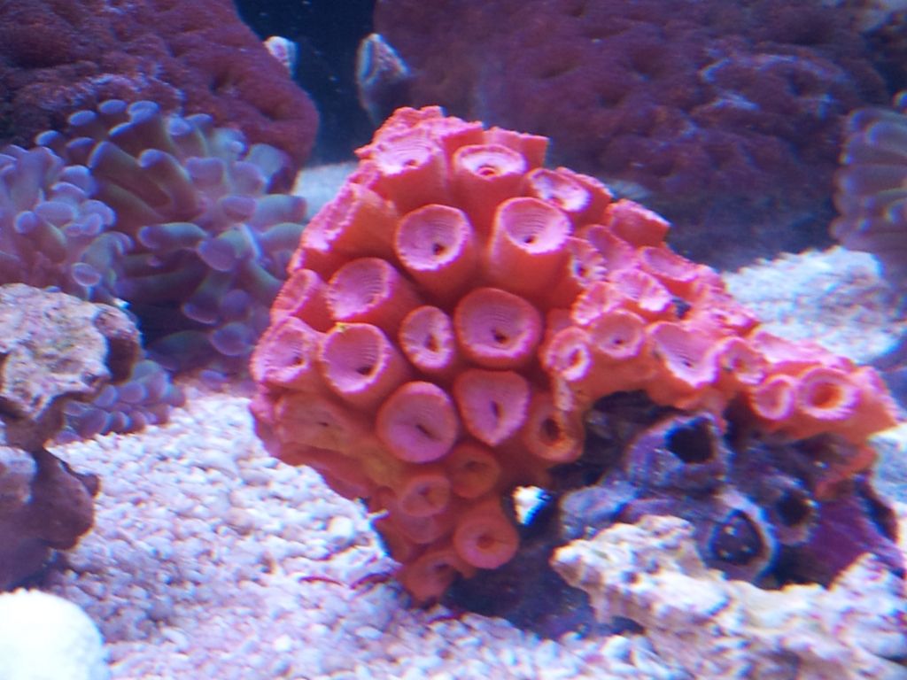 2012-05-07140346.jpg