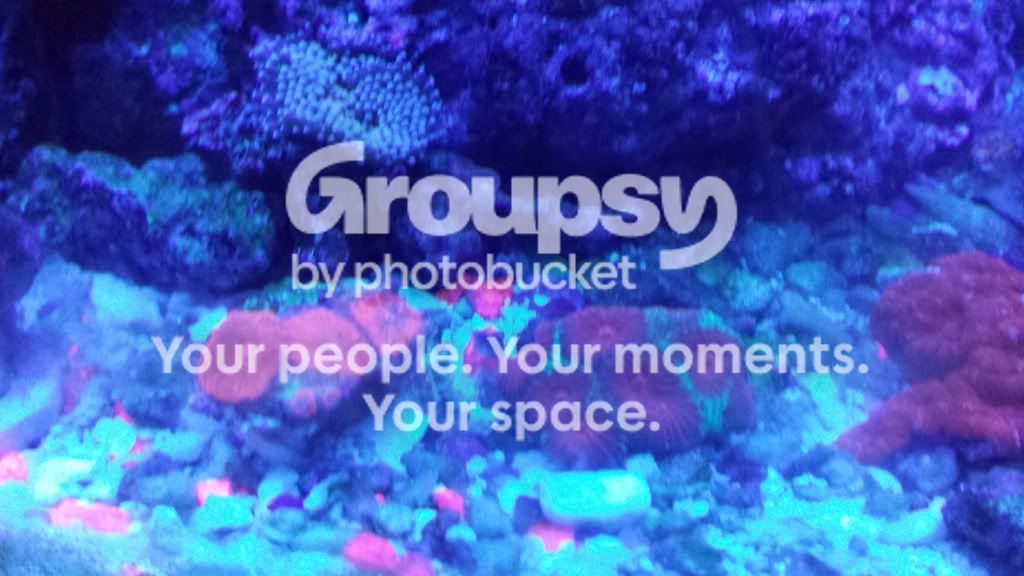 20130914_170849.jpg