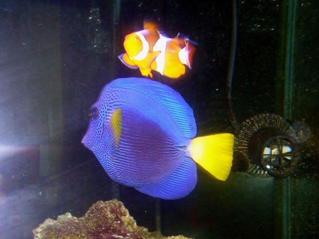 P1010055.jpg
