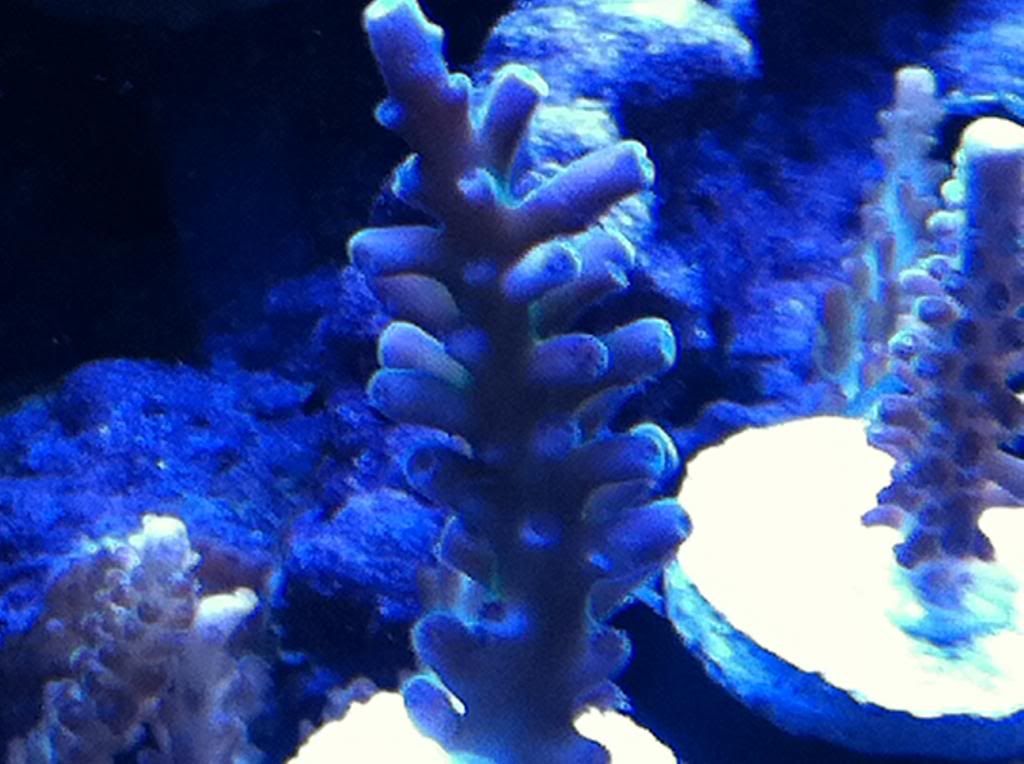 swapfrags005.jpg