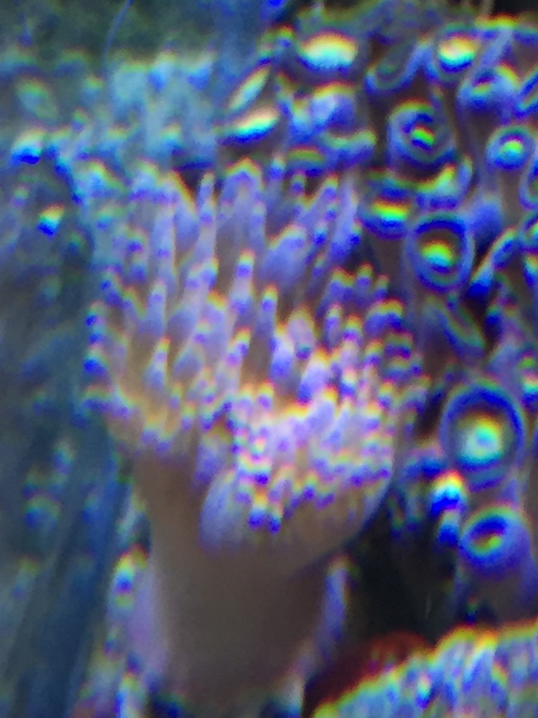 65c7f7b4fa22b01875e0c8e076d1e2cb.jpg