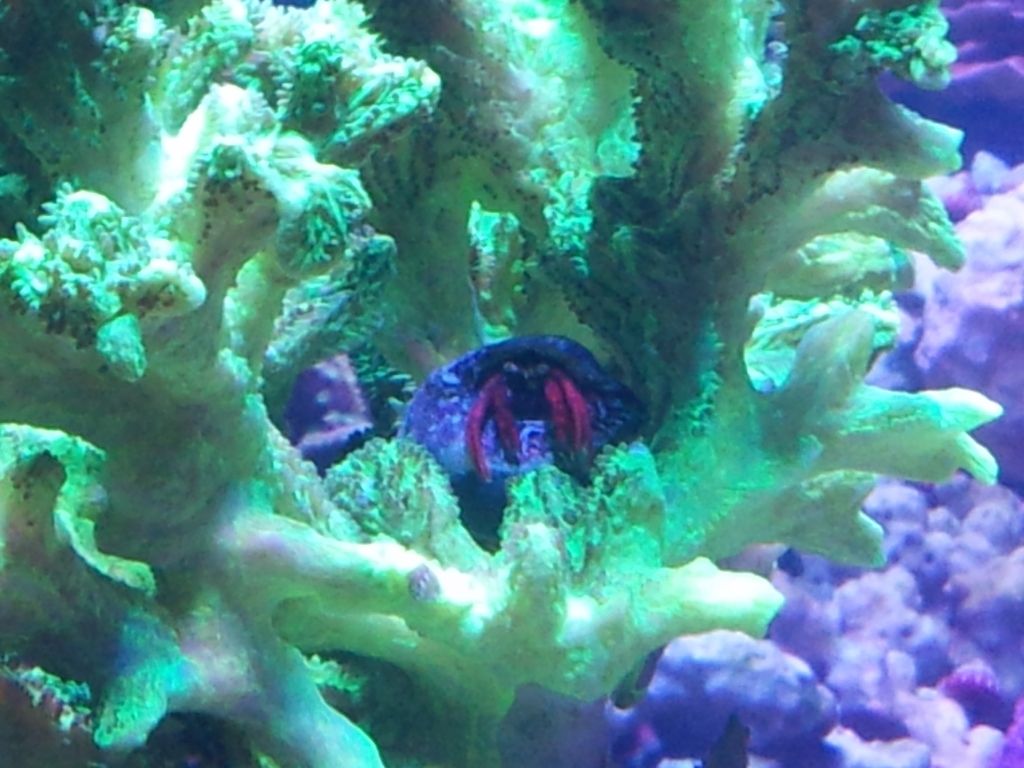 2012-05-07185814.jpg