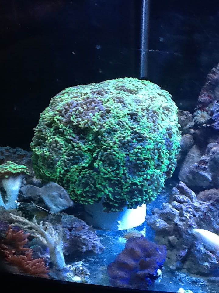 56d2ef5f.jpg