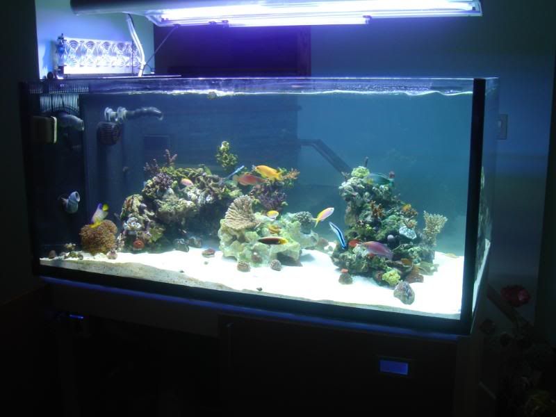 dartsetup021.jpg