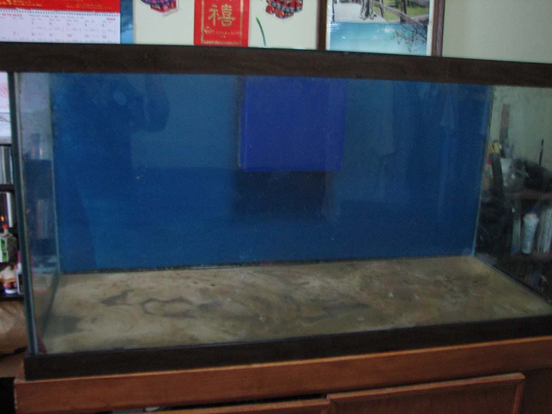 tank2.jpg