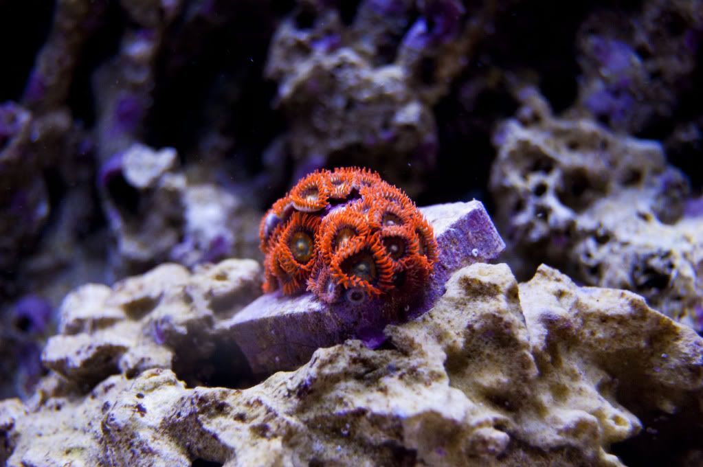 DSC_0366.jpg