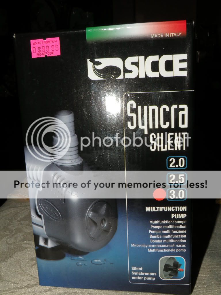 DSCN5780.jpg