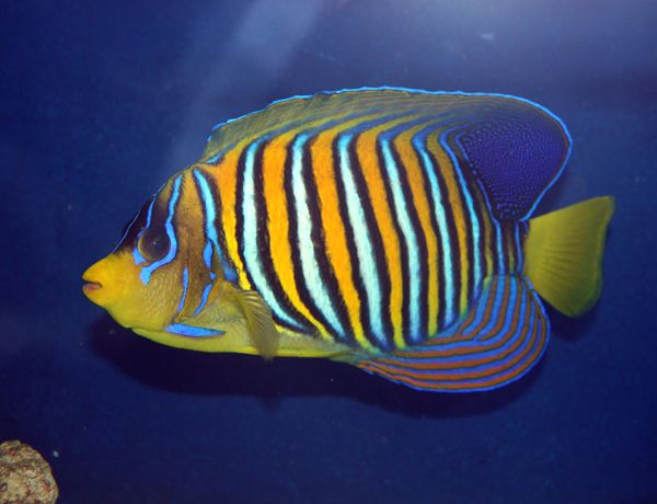 IMG_6399.jpg