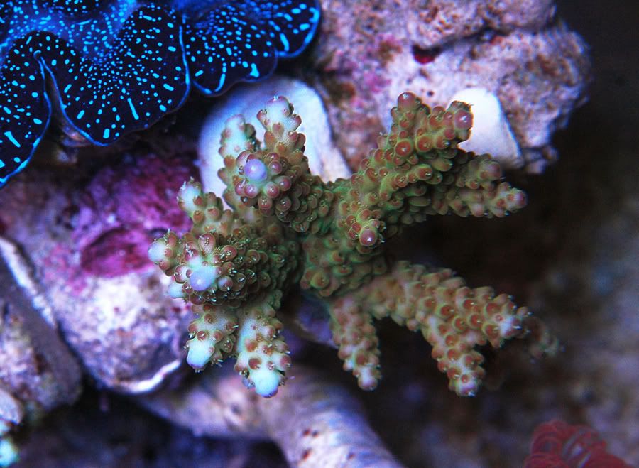 DSC_7356.jpg