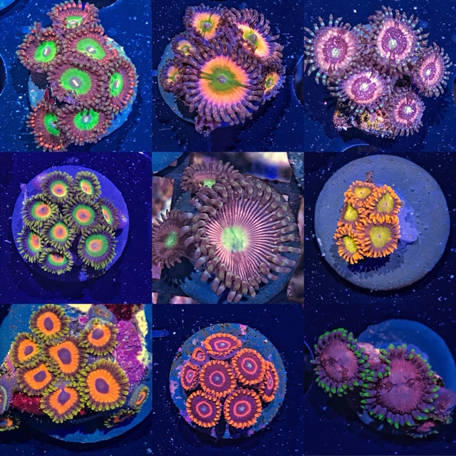 0e7923817740beb32b307b09b1acad9b.jpg