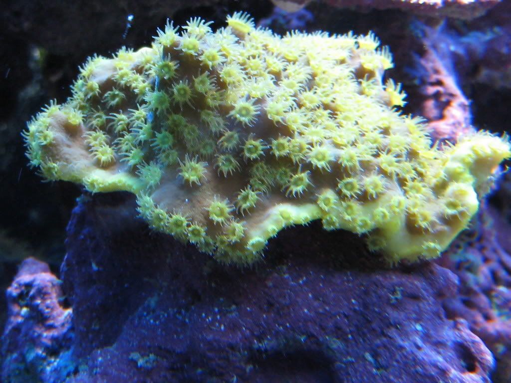 IMG_0491.jpg
