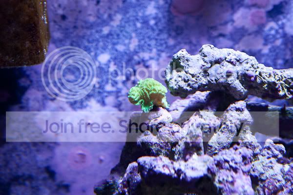 fishforsale-5.jpg