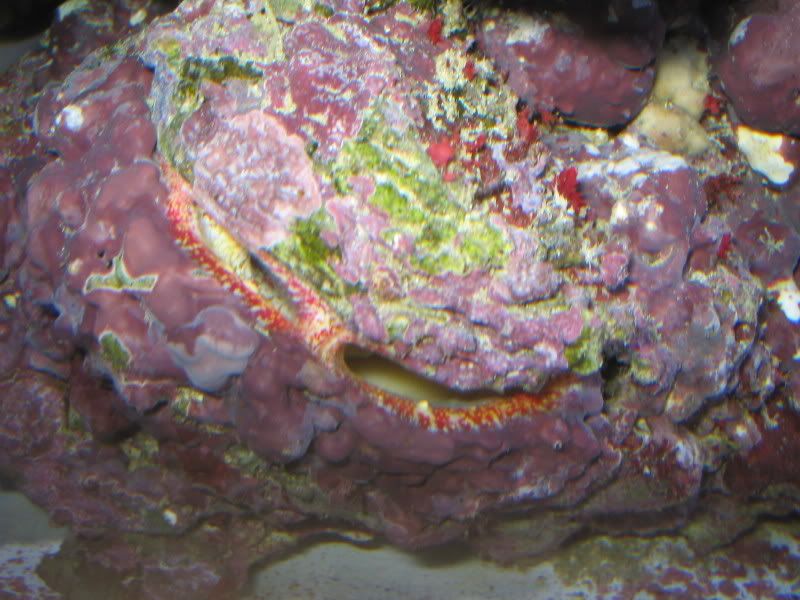 e014a823.jpg