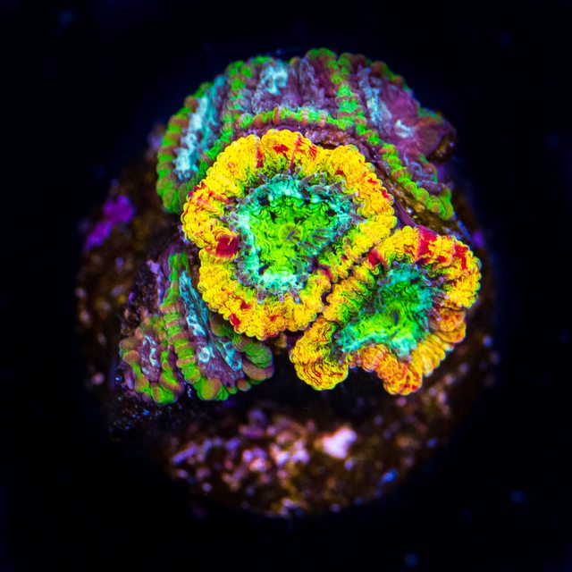 m7REQ9al.jpg
