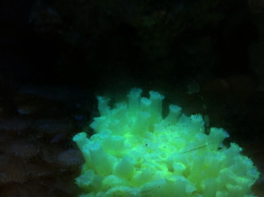ffed0894.jpg