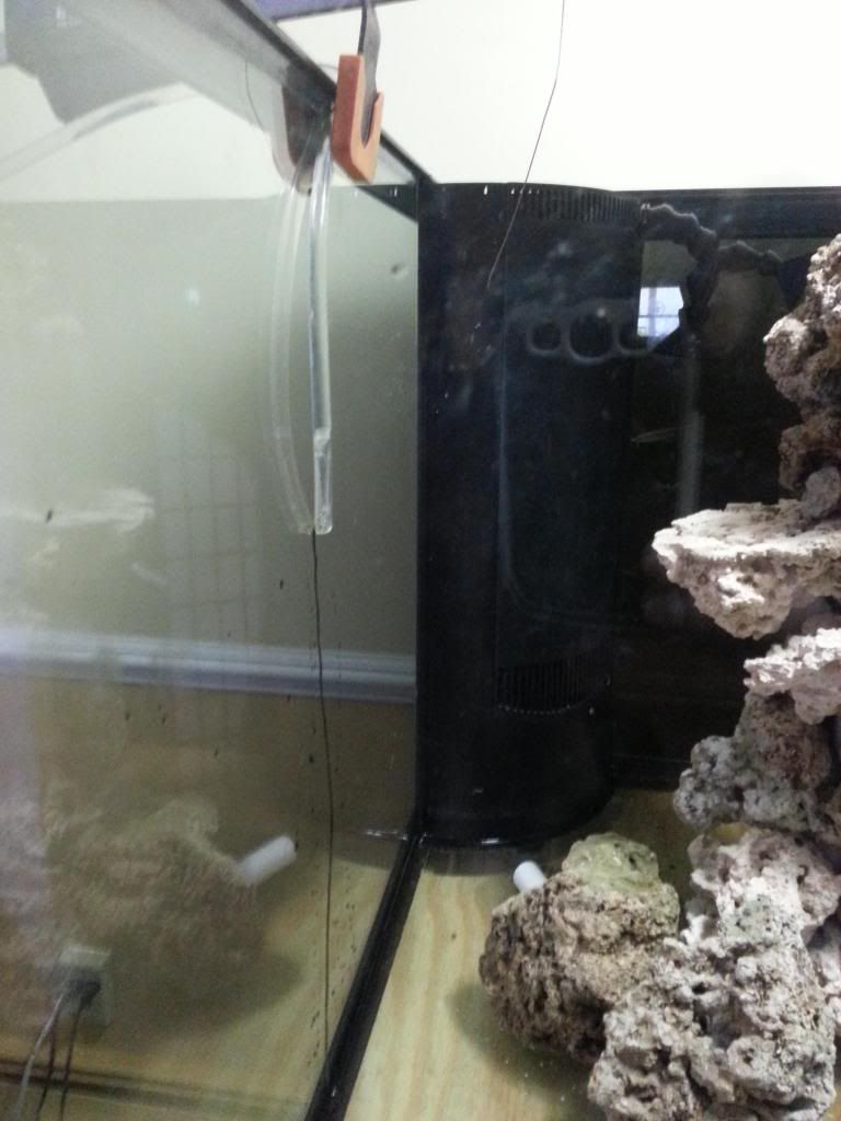 20121212_140345.jpg