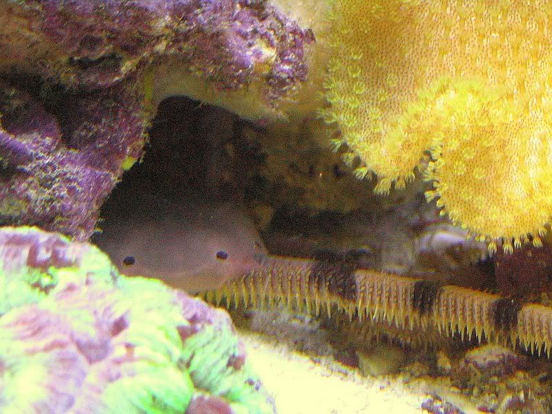 65g_008.jpg
