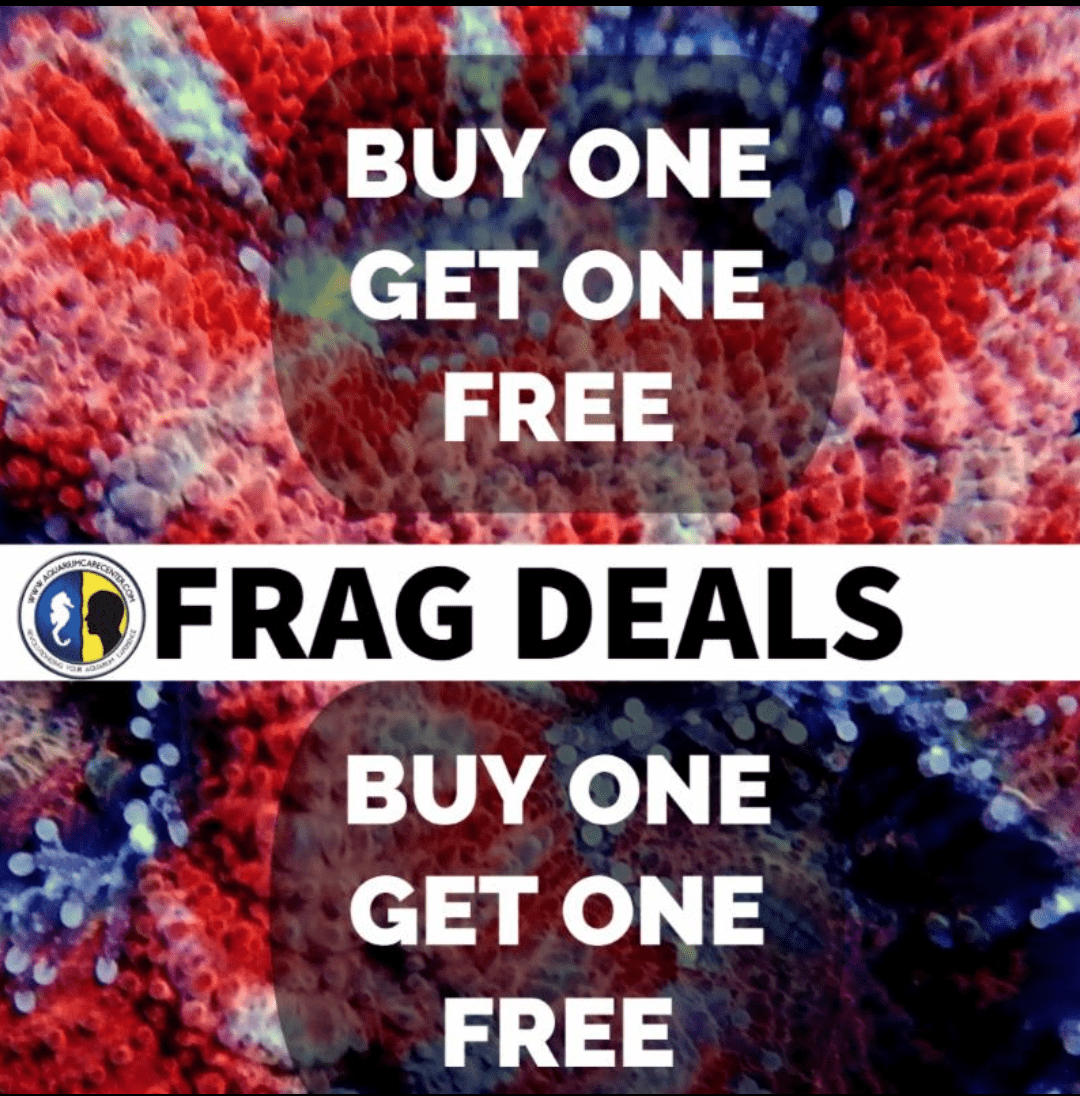 4A1Vd75.png