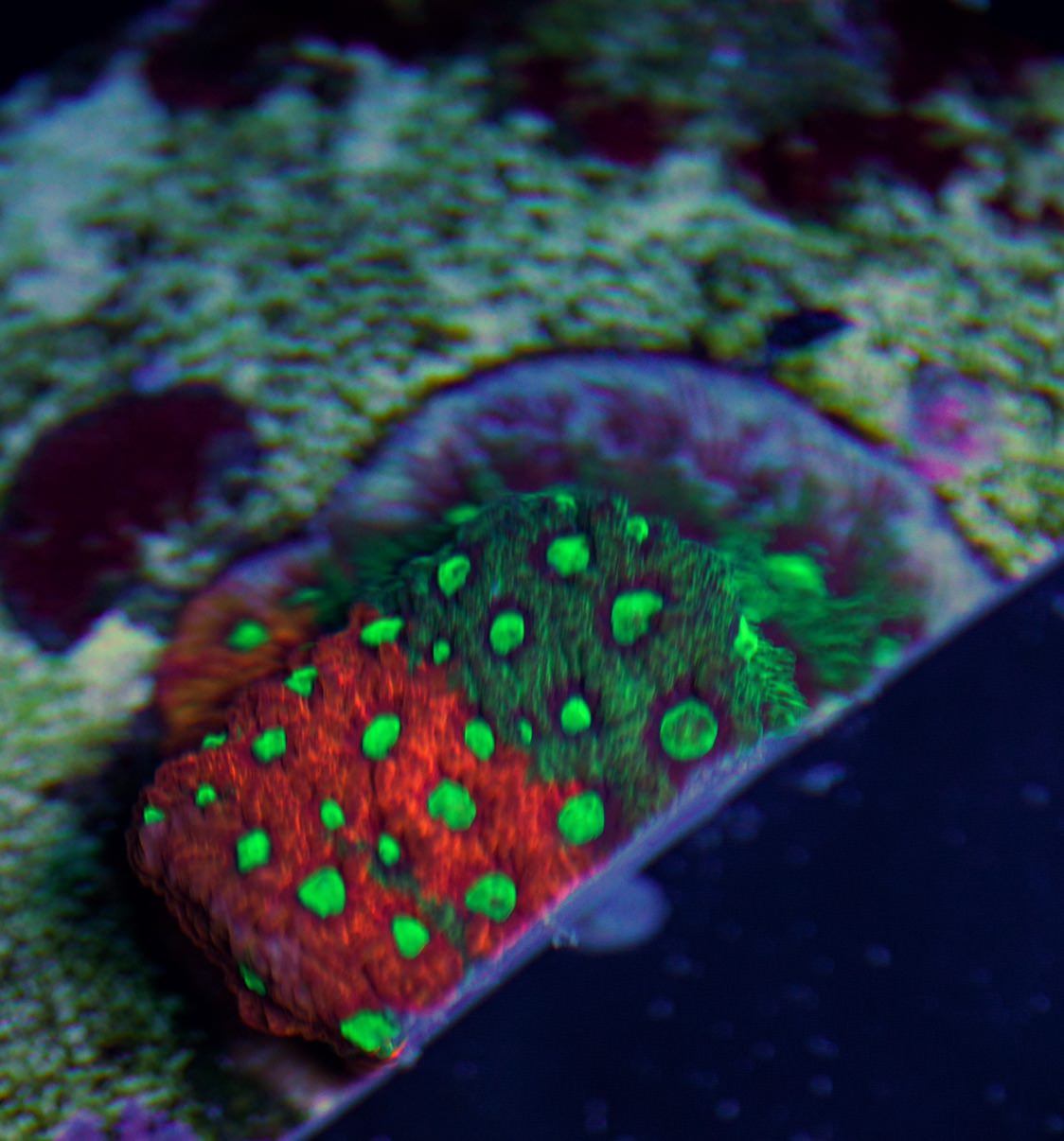 HmnX2Ms.jpg