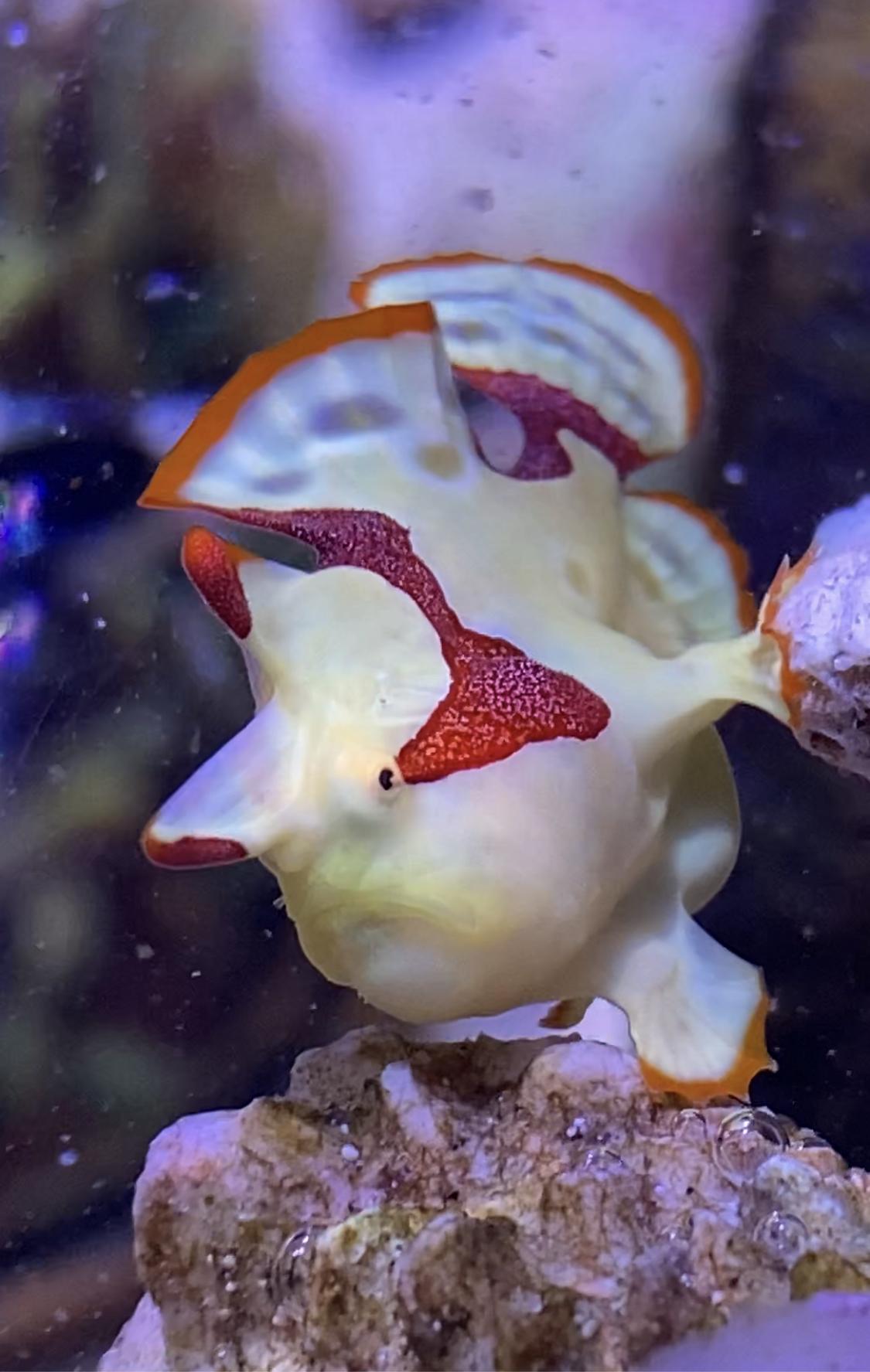 3f7c8c9f04375d3a14a2e2e51b0977ea.plist