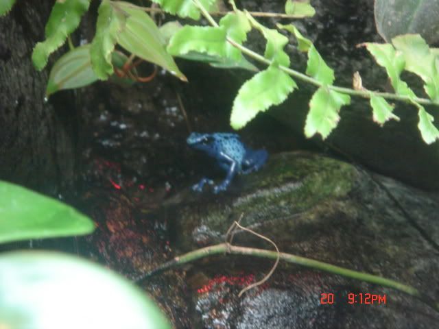 DSC01444.jpg