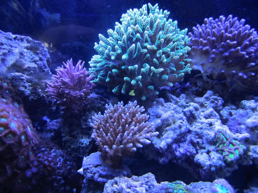 IMG_0068-1.jpg