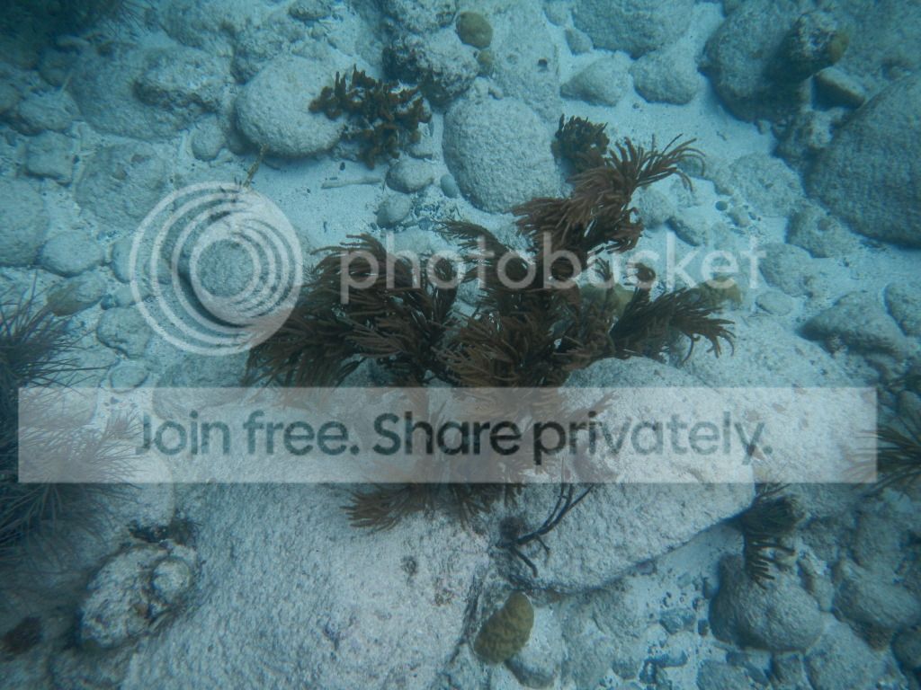 DSCN0519.jpg