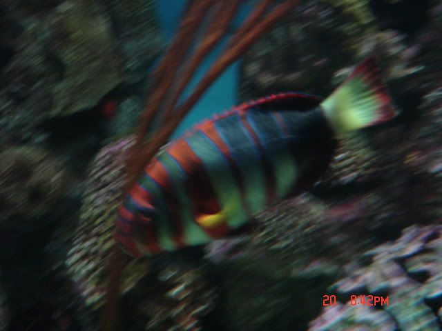 DSC01402.jpg