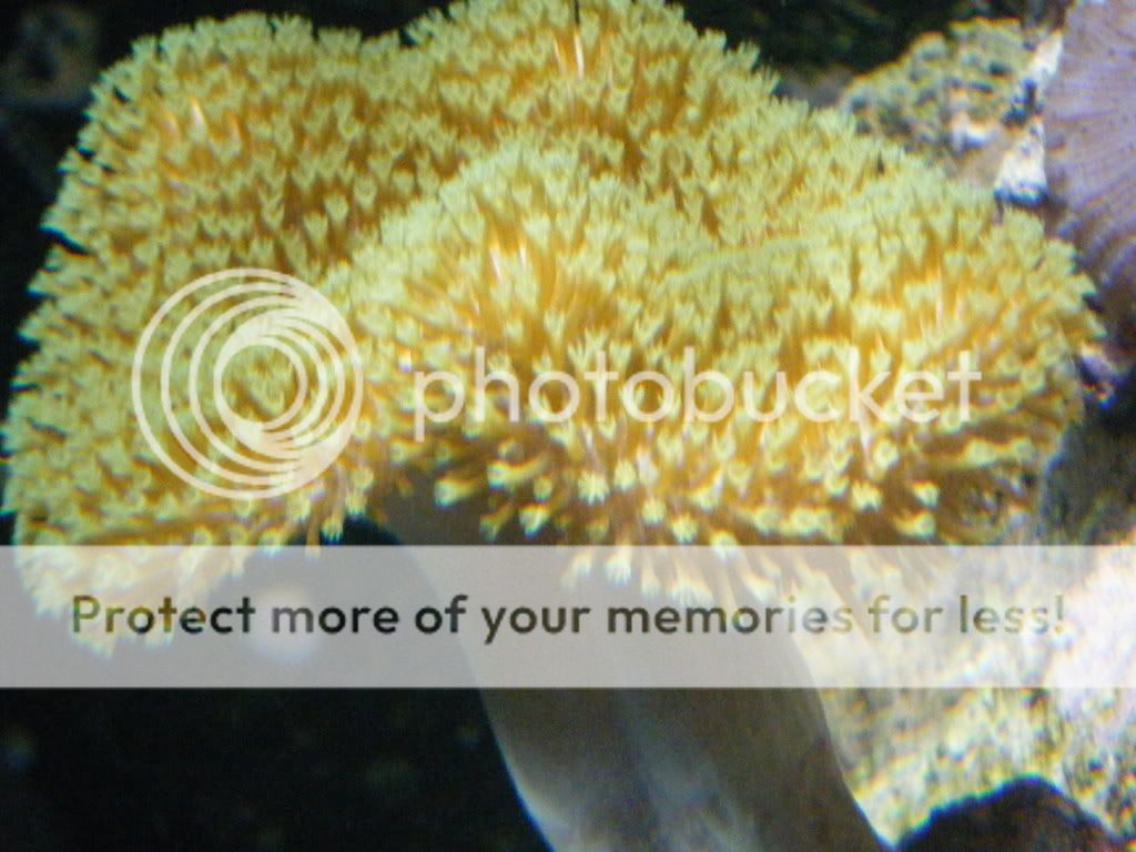 DSCF0281.jpg