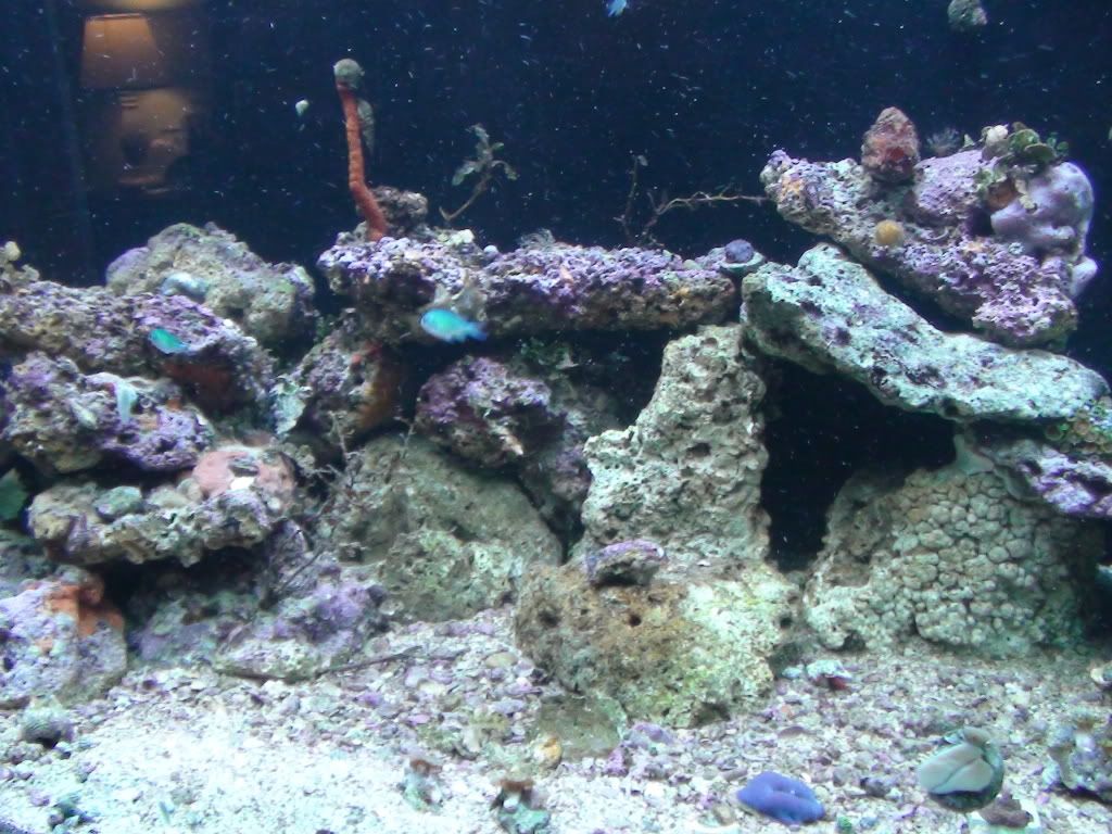 DSC00409.jpg