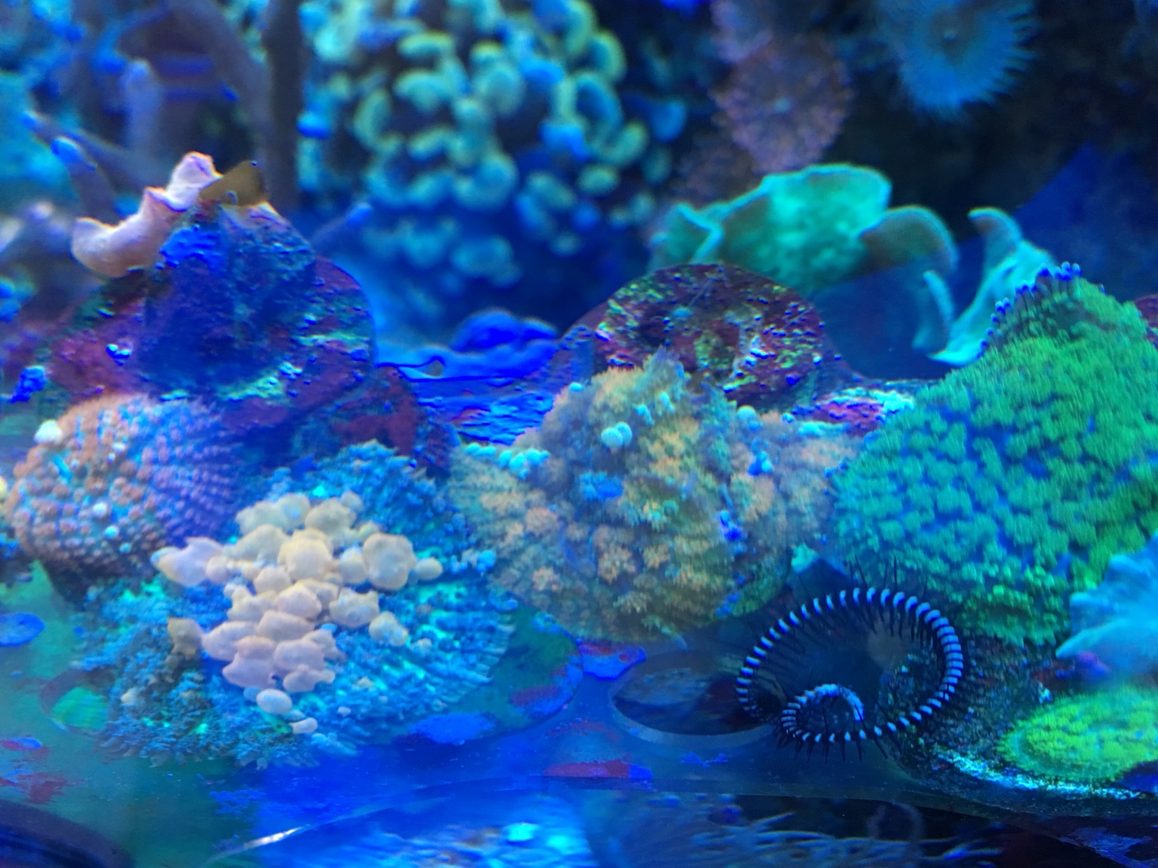 d5f9aaed2414ebd7c70a7278c0391b68.jpg