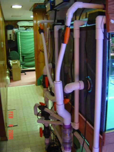 DSC00751.jpg
