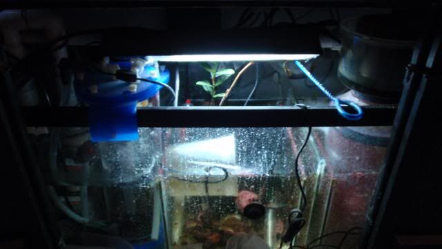 tank004-2.jpg