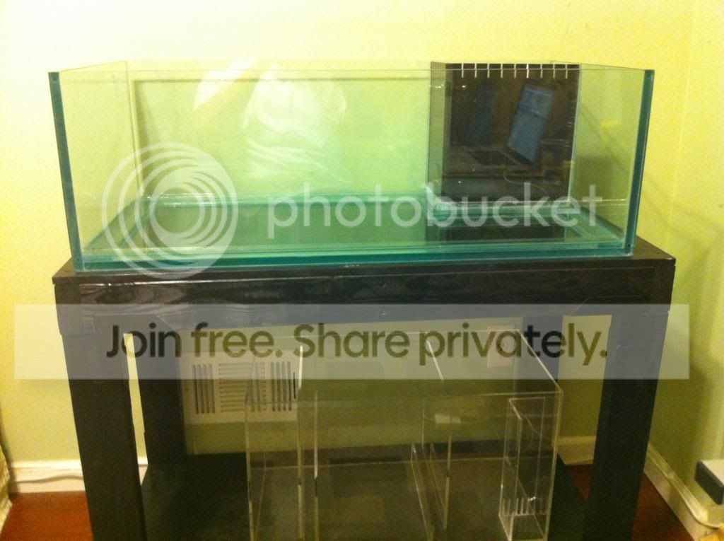 Firstpictureoftank.jpg
