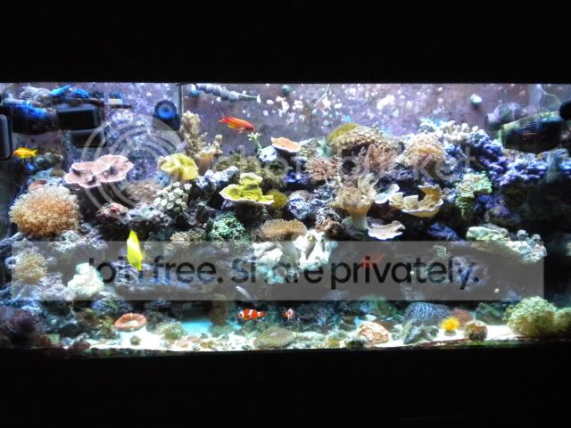 DSCN3757.jpg