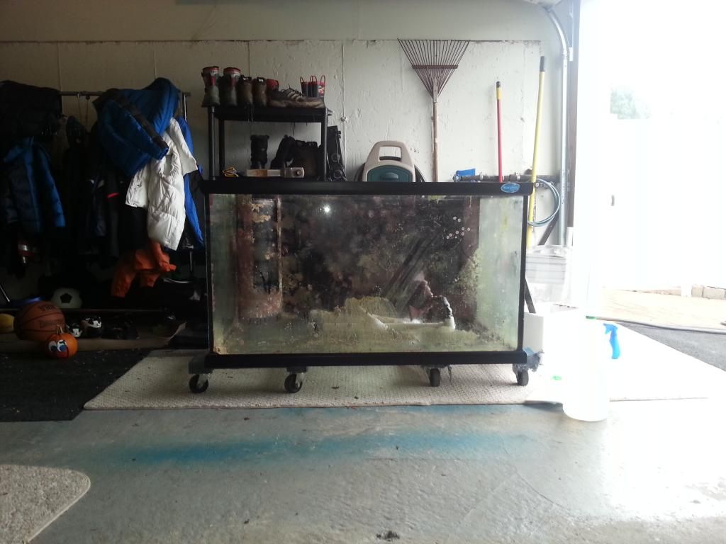 20121104_132534-1.jpg