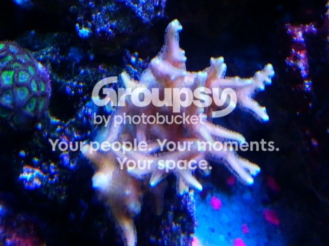 dcd61614-8d91-4604-a4c2-4d5e71e91965.jpg