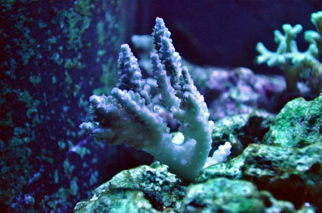 DSC_0634.jpg