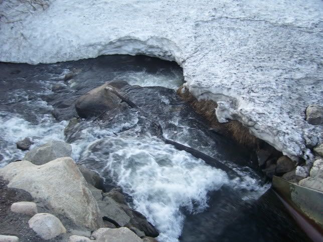 100_0353.jpg